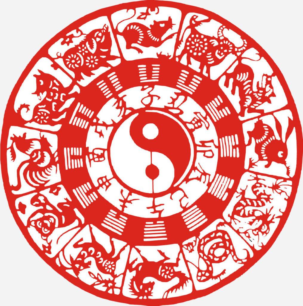 In order of year in animals In order of year in animals