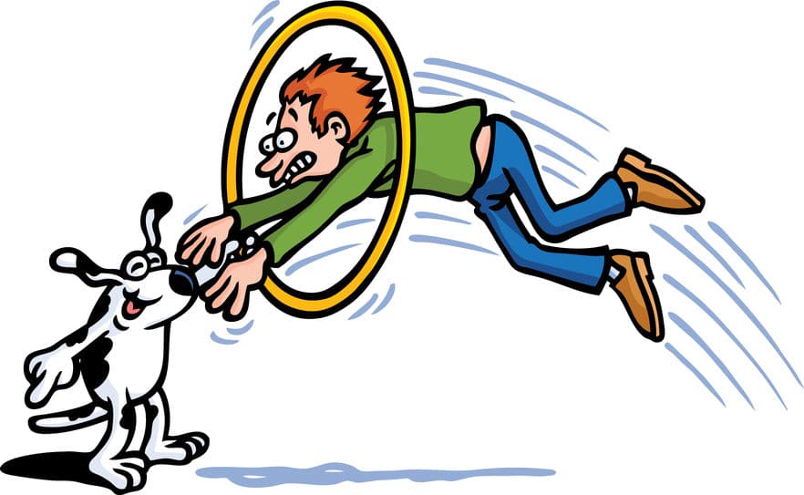 Can T Teach An Old Dog New Tricks Meaning Can T Teach An Old Dog New Tricks Meaning